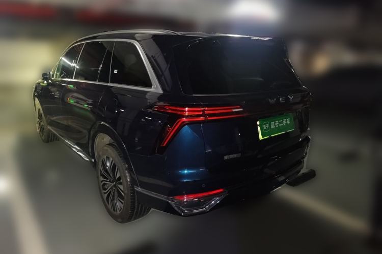 Used Wey Lanshan 2023 Two-Wheel Drive Long-Range Version Rear Left 45 Deg
