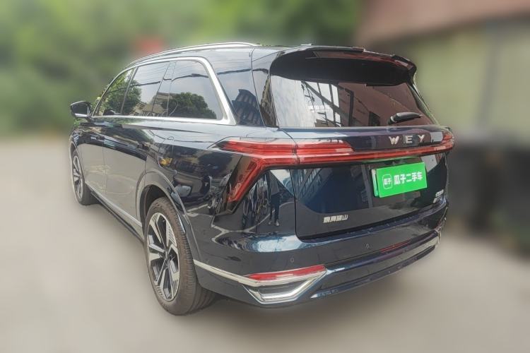 Used Wey Lanshan 2023 Four-Wheel Drive Ultra-Long Range Version Rear Left 45 Deg