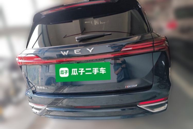 Used Wey Lanshan 2023 Four-Wheel Drive Ultra-Long Range Version Rear