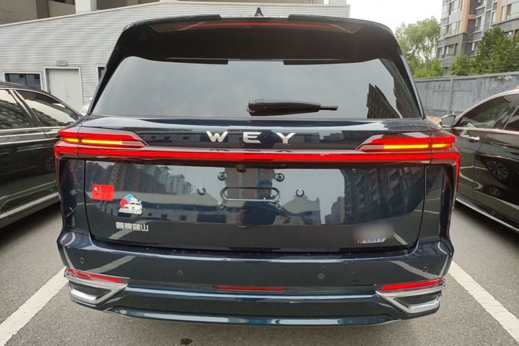 Used Wey Lanshan 2023 Four-Wheel Drive Ultra-Long Range Version Rear