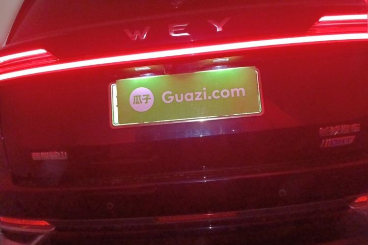 Used Wey Lanshan 2023 Four-Wheel Drive Ultra-Long Range Version Rear