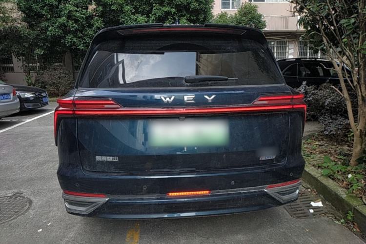 Used Wey Lanshan 2023 Four-Wheel Drive Ultra-Long Range Version Rear