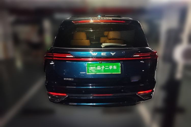 Used Wey Lanshan 2023 Two-Wheel Drive Long-Range Version Rear