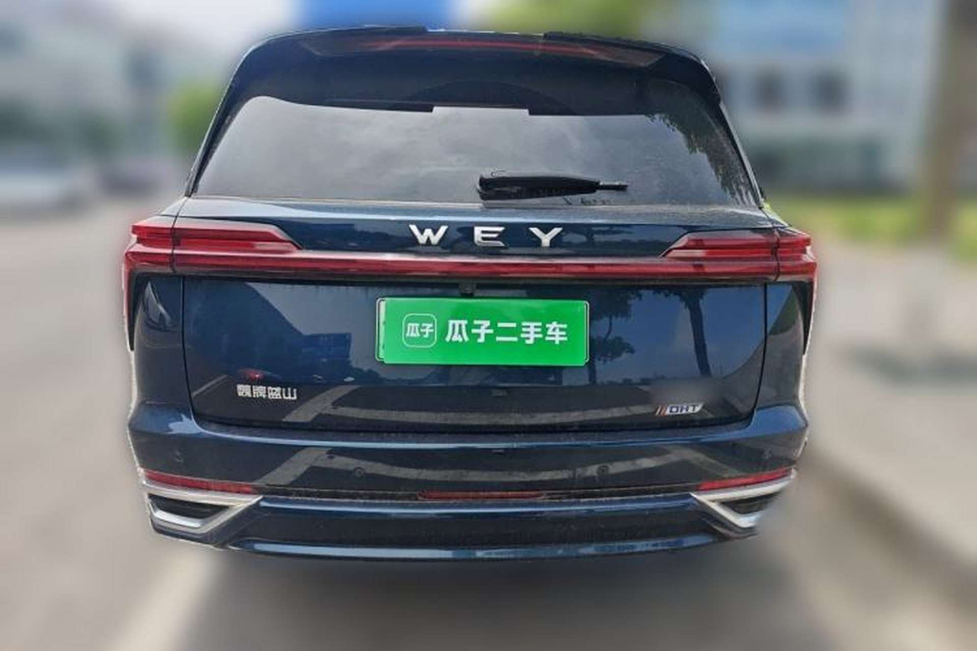 Used Wey Lanshan 2023 Four-Wheel Drive Ultra-Long Range Version Rear