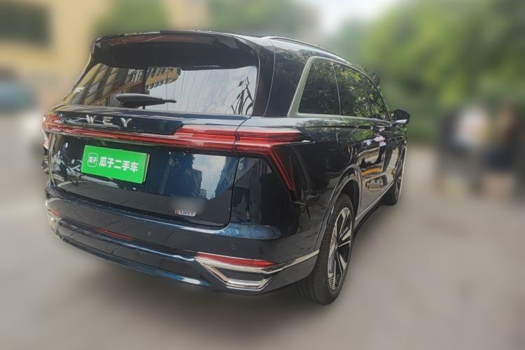 Used Wey Lanshan 2023 Four-Wheel Drive Ultra-Long Range Version Rear Right 45 Deg
