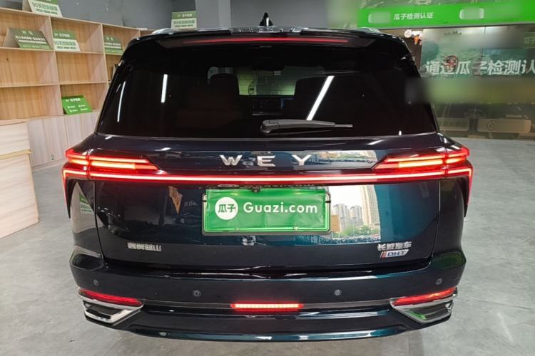Used Wey Lanshan 2023 Four-Wheel Drive Ultra-Long Range Version Rear