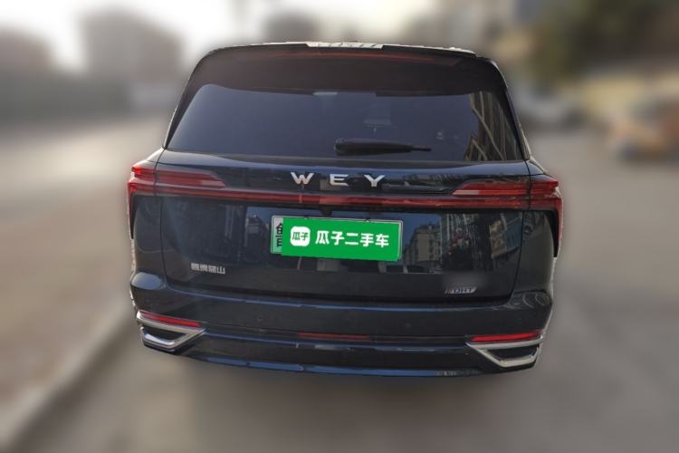 Used Wey Lanshan 2023 Four-Wheel Drive Ultra-Long Range Version Rear