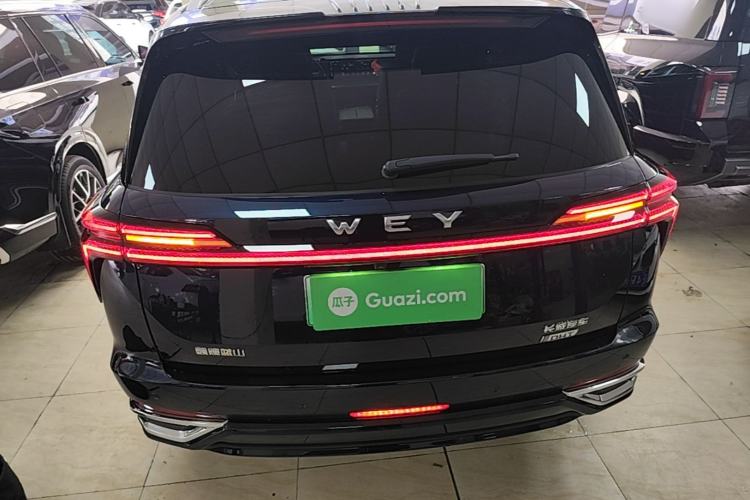 Used Wey Lanshan 2023 Four-Wheel Drive Ultra-Long Range Version Rear