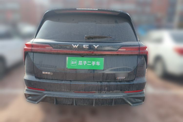 Used Wey Lanshan 2023 Four-Wheel Drive Ultra-Long Range Version Rear