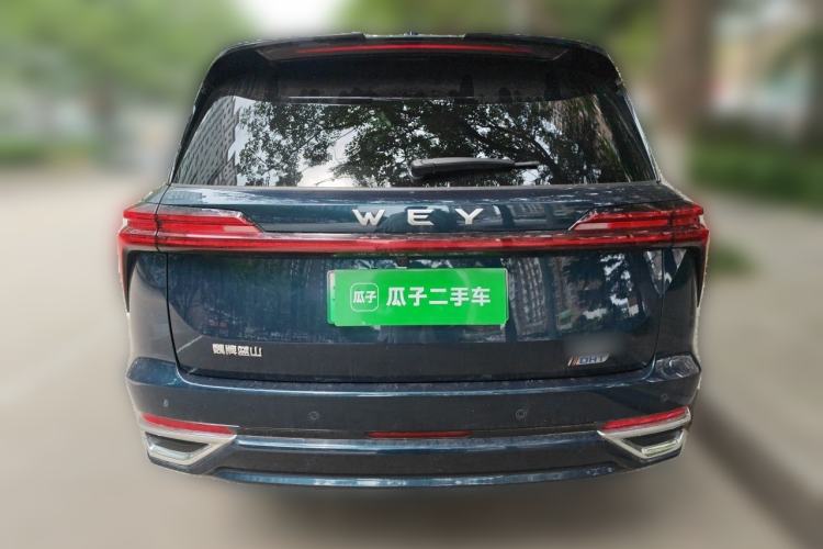 Used Wey Lanshan 2023 Four-Wheel Drive Ultra-Long Range Version Rear