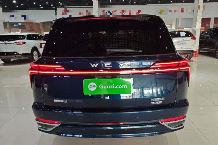 Used Wey Lanshan 2023 Four-Wheel Drive Ultra-Long Range Version Rear