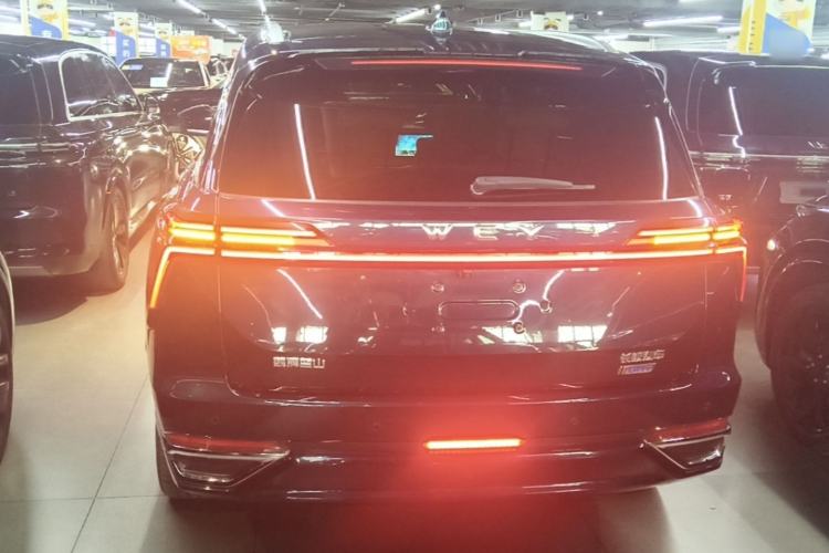 Used Wey Lanshan 2023 Four-Wheel Drive Ultra-Long Range Version Rear