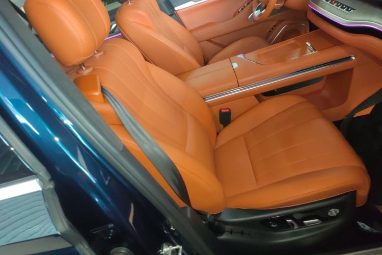 Used Wey Lanshan 2023 Four-Wheel Drive Ultra-Long Range Version Right Front Seat
