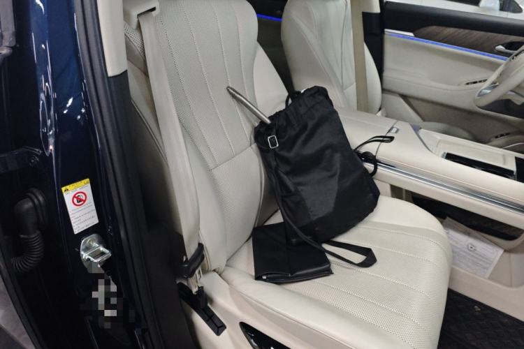 Used Wey Lanshan 2023 Two-Wheel Drive Long-Range Version Right Front Seat