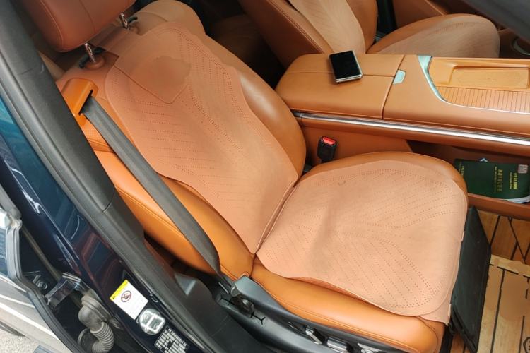 Used Wey Lanshan 2023 Four-Wheel Drive Ultra-Long Range Version Right Front Seat