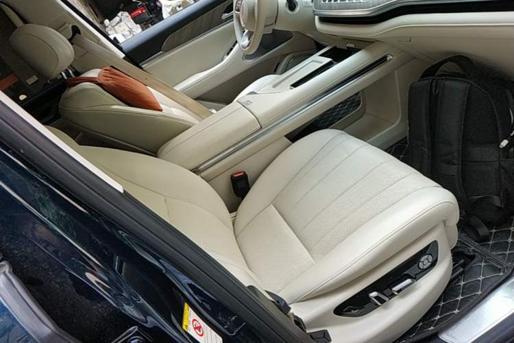 Used Wey Lanshan 2023 Four-Wheel Drive Ultra-Long Range Version Right Front Seat