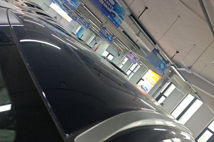 Used Wey Lanshan 2023 Two-Wheel Drive Long-Range Version Roof