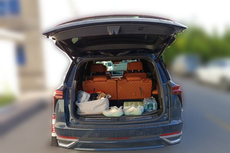 Used Wey Lanshan 2023 Four-Wheel Drive Ultra-Long Range Version Trunk