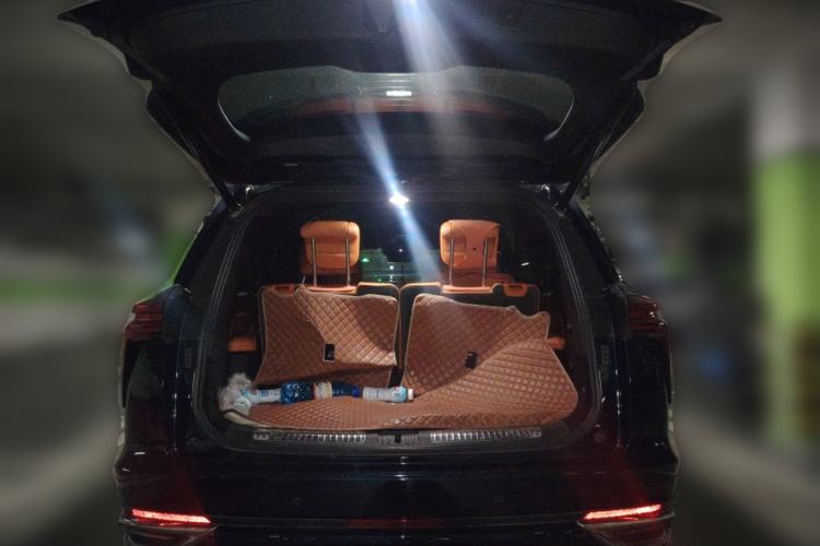 Used Wey Lanshan 2023 Four-Wheel Drive Ultra-Long Range Version Trunk