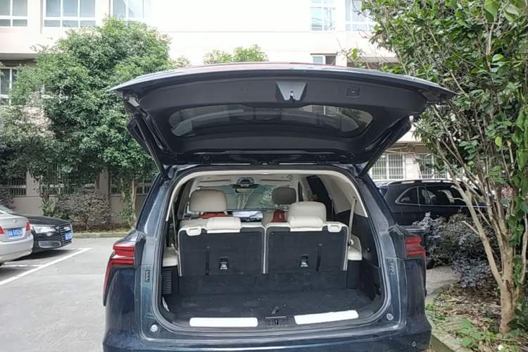 Used Wey Lanshan 2023 Four-Wheel Drive Ultra-Long Range Version Trunk
