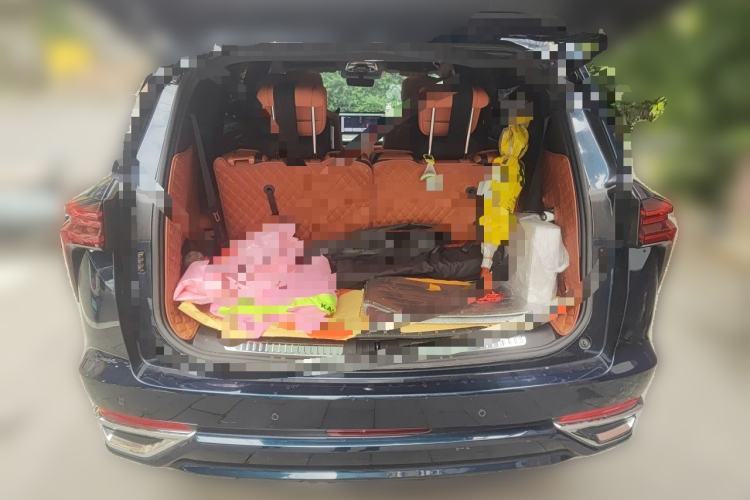 Used Wey Lanshan 2023 Four-Wheel Drive Ultra-Long Range Version Trunk