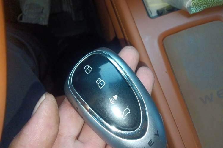 Used Wey Lanshan 2023 Four-Wheel Drive Ultra-Long Range Version Vehicle Key