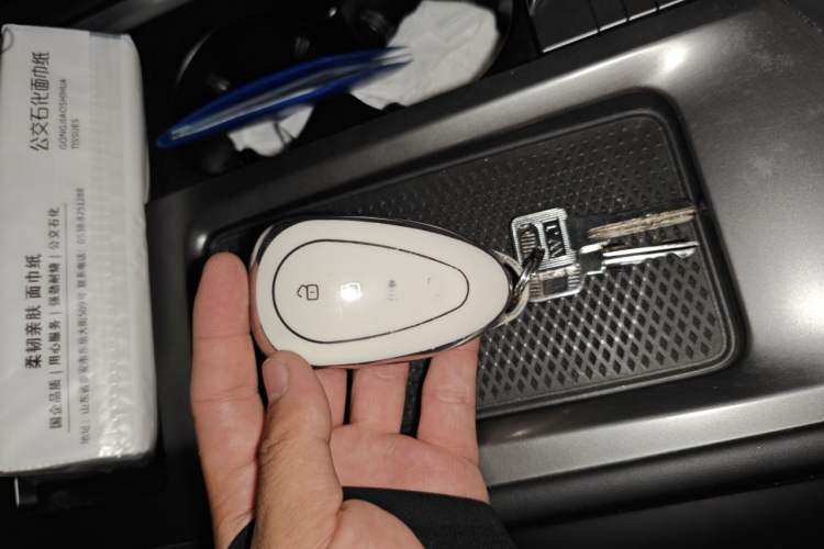 Used Wey Lanshan 2023 Four-Wheel Drive Ultra-Long Range Version Vehicle Key
