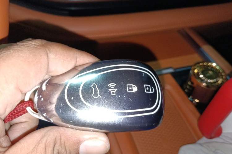 Used Wey Lanshan 2023 Four-Wheel Drive Ultra-Long Range Version Vehicle Key