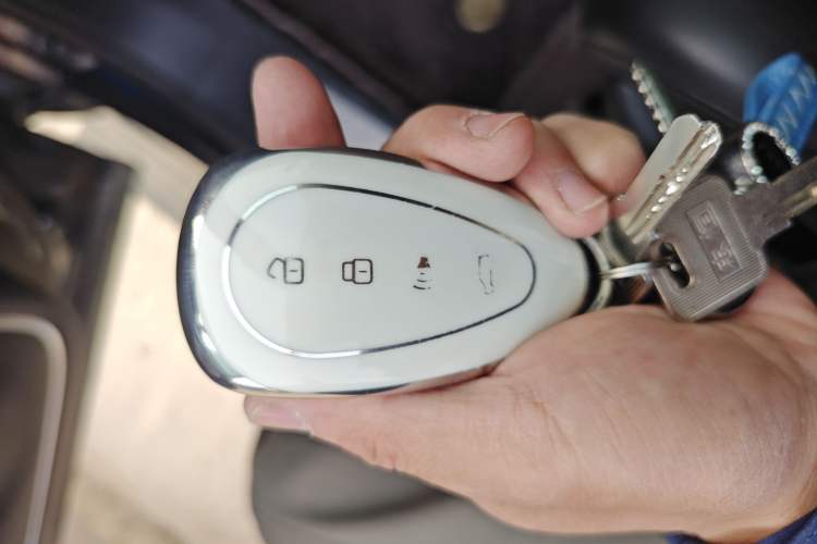 Used Wey Lanshan 2023 Four-Wheel Drive Ultra-Long Range Version Vehicle Key