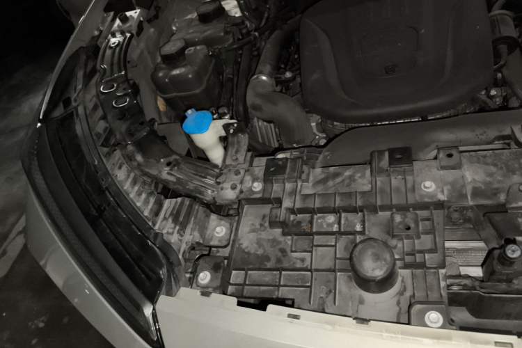 Used Wey Lanshan 2023 Four-Wheel Drive Ultra-Long Range Version Engine Bay Right