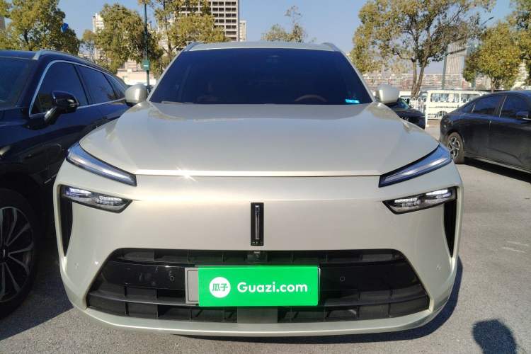 Used Wey Lanshan 2023 Four-Wheel Drive Ultra-Long Range Version Exterior 1