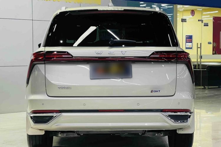 Used Wey Lanshan 2023 Four-Wheel Drive Ultra-Long Range Version Exterior 2