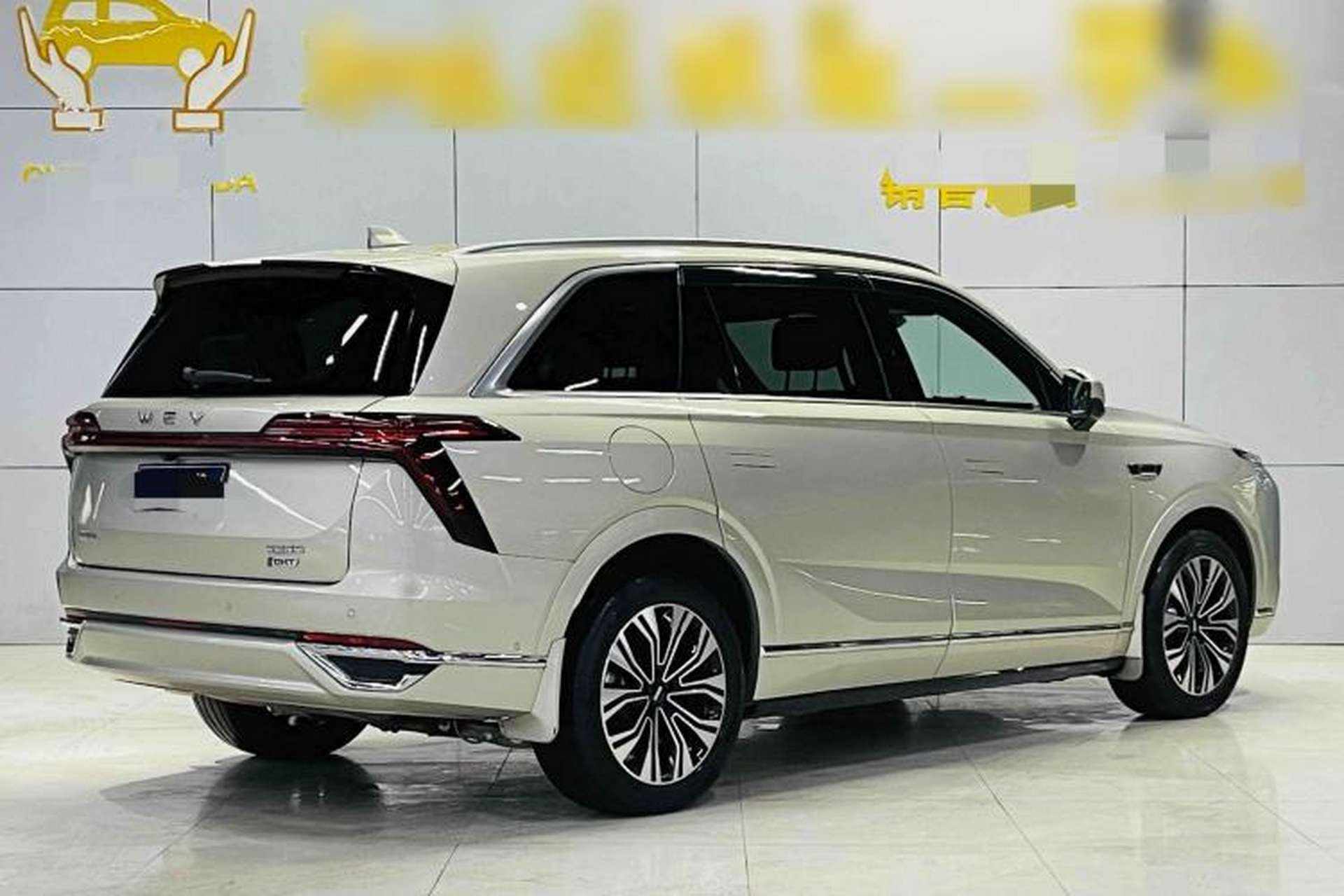 Used Wey Lanshan 2023 Four-Wheel Drive Ultra-Long Range Version Exterior 3