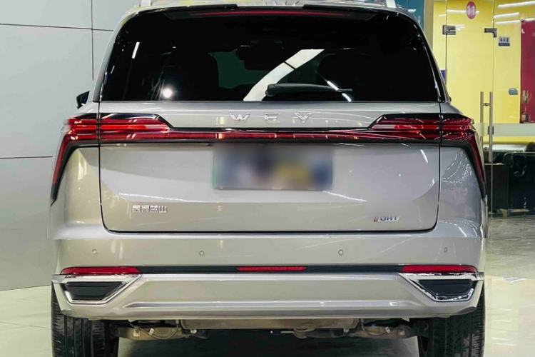 Used Wey Lanshan 2023 Four-Wheel Drive Ultra-Long Range Version Exterior 4