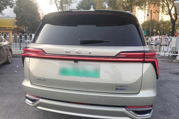 Used Wey Lanshan 2023 Four-Wheel Drive Ultra-Long Range Version Exterior 4