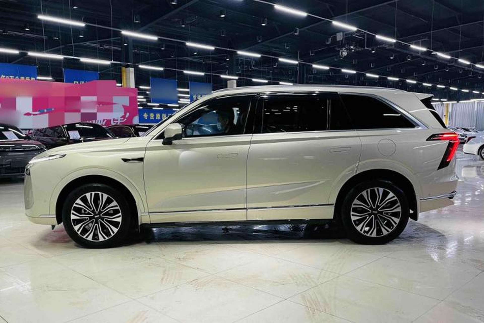 Used Wey Lanshan 2023 Four-Wheel Drive Ultra-Long Range Version Exterior 5