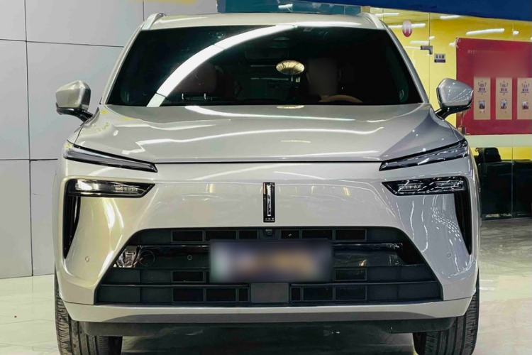 Used Wey Lanshan 2023 Four-Wheel Drive Ultra-Long Range Version Exterior 5