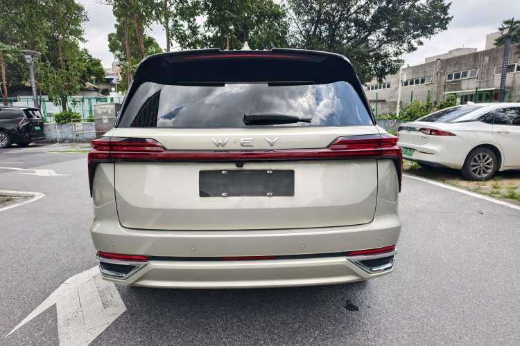 Used Wey Lanshan 2023 Four-Wheel Drive Ultra-Long Range Version Exterior 8