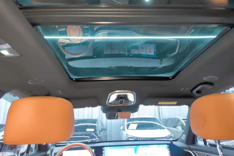 Used Wey Lanshan 2023 Four-Wheel Drive Ultra-Long Range Version Headliner