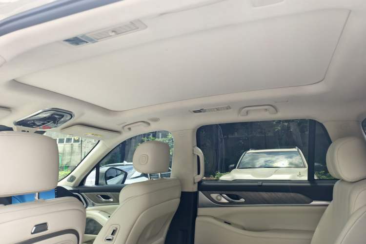Used Wey Lanshan 2023 Four-Wheel Drive Ultra-Long Range Version Headliner