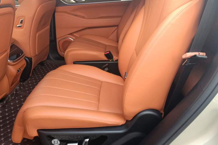 Used Wey Lanshan 2023 Four-Wheel Drive Ultra-Long Range Version Interior 4
