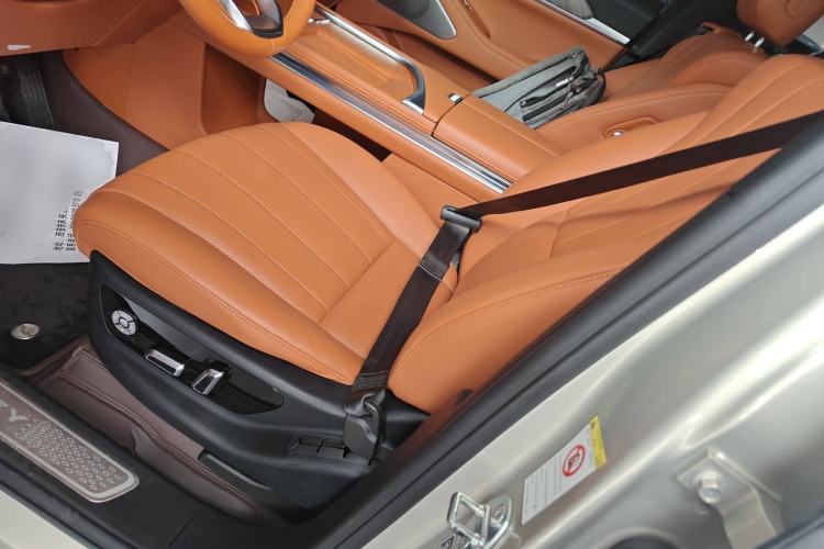 Used Wey Lanshan 2023 Four-Wheel Drive Ultra-Long Range Version Left Front Seat