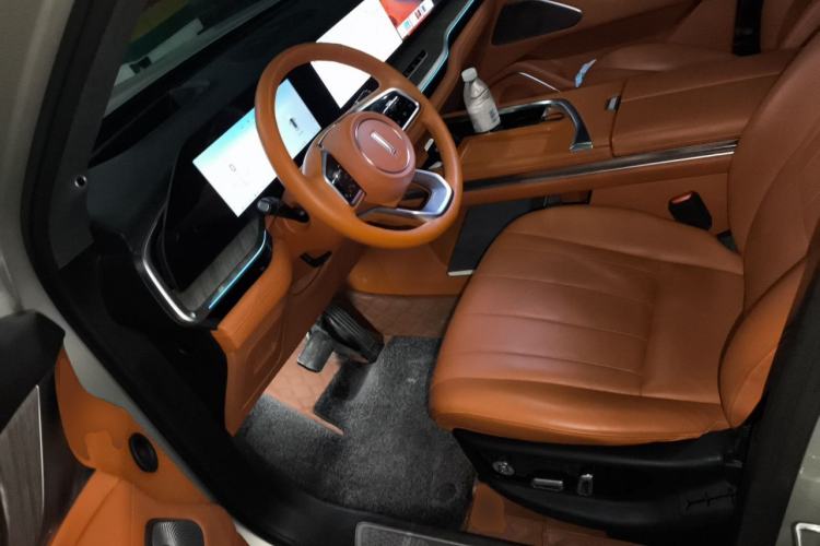 Used Wey Lanshan 2023 Four-Wheel Drive Ultra-Long Range Version Left Front Seat