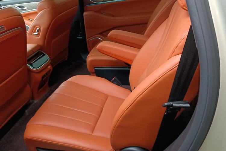 Used Wey Lanshan 2023 Four-Wheel Drive Ultra-Long Range Version Left Rear Seat
