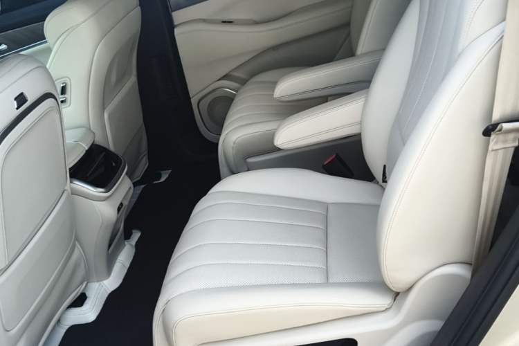 Used Wey Lanshan 2023 Four-Wheel Drive Ultra-Long Range Version Left Rear Seat