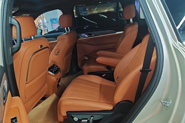 Used Wey Lanshan 2023 Four-Wheel Drive Ultra-Long Range Version Left Rear Seat