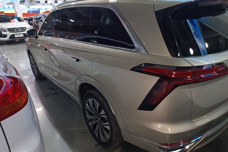 Used Wey Lanshan 2023 Four-Wheel Drive Ultra-Long Range Version Left Side