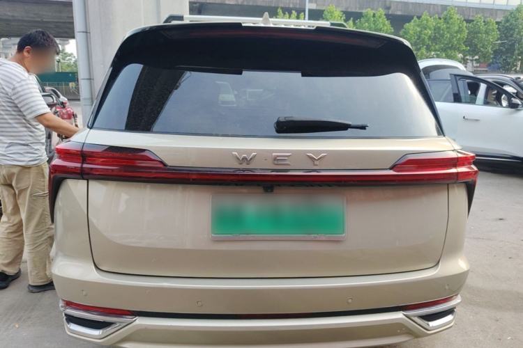 Used Wey Lanshan 2023 Four-Wheel Drive Ultra-Long Range Version Rear