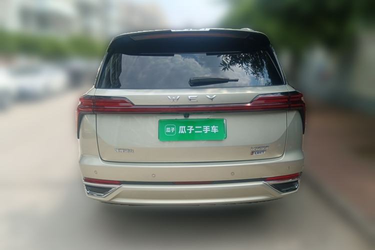 Used Wey Lanshan 2023 Four-Wheel Drive Ultra-Long Range Version Rear