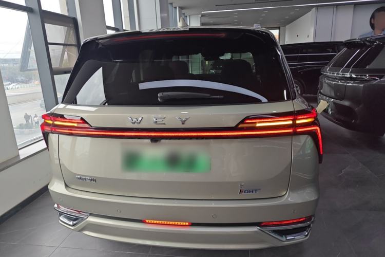 Used Wey Lanshan 2023 Four-Wheel Drive Ultra-Long Range Version Rear